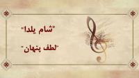 دوقطعه جدید موسیقی تولید شد 