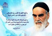 مرز میان نادانی و ثروت از نگاه امام 