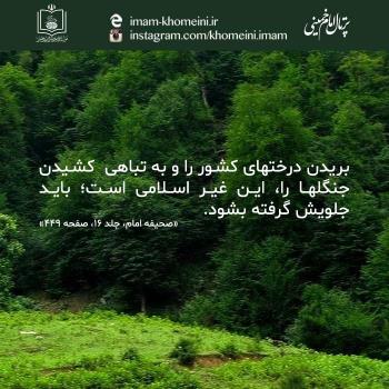 روز درختکاری