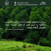 روز درختکاری