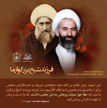فرزند شیخ بزرگوار ما