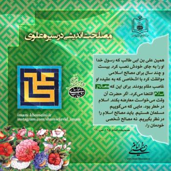 مصلحت اندیشی در سیره علوی