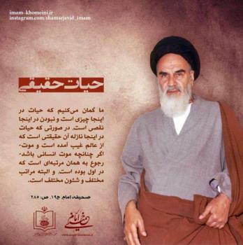 حیات حقیقی