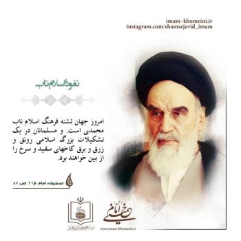 نفوذ اسلام ناب