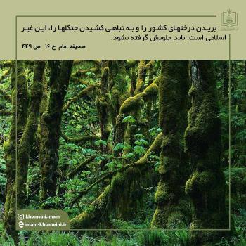روز درختکاری