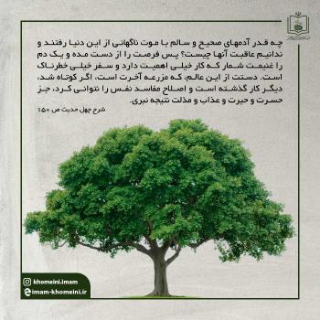 مزرعه آخرت