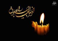 پیام تسلیت سرپرست موسسه تنظیم و نشر آثار امام خمینی به دکتر قلی زاده