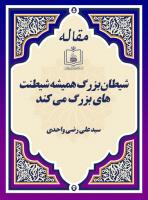 شیطان بزرگ همیشه شیطنت‏ های بزرگ می ‏کند (مصاحبه با سید علی رضی واحدی از سوریه)