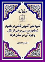شیوه شهر آشوبی تأملی بر مفهوم شطح و بررسی برخی از علل وجود آن در لسان عرفا
