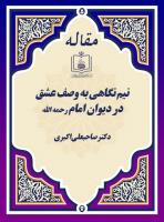 نیم نگاهی به وصف عشق در دیوان امام رحمه الله