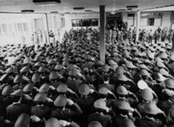 روایت موسوی تبریزی از بیعت همافران با امام