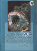 مجله کودک 86 صفحه 16