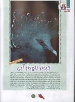 مجله کودک 91 صفحه 16