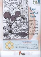 مجله کودک 96 صفحه 26