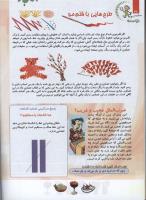 مجله کودک 98 صفحه 26