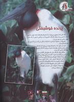 مجله کودک 106 صفحه 16