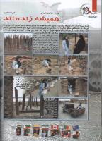 مجله کودک 107 صفحه 12