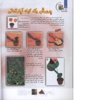 مجله کودک 109 صفحه 16