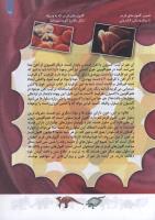 مجله کودک 113 صفحه 15