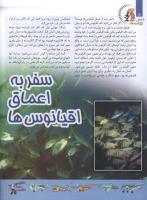 مجله کودک 116 صفحه 14