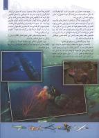 مجله کودک 116 صفحه 15