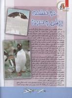 مجله کودک 118 صفحه 14