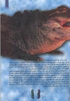 مجله کودک 122 صفحه 15
