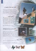 مجله کودک 124 صفحه 27
