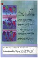 مجله کودک 128 صفحه 35