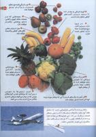 مجله کودک 129 صفحه 37