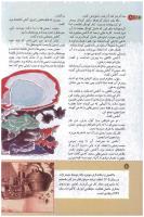 مجله کودک 133 صفحه 8