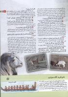 مجله کودک 141 صفحه 11