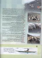 مجله کودک 141 صفحه 12