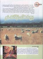 مجله کودک 146 صفحه 38