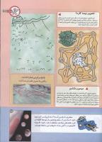 مجله کودک 147 صفحه 25