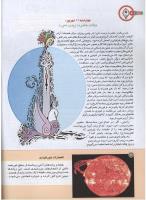 مجله کودک 149 صفحه 4