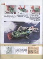 مجله کودک 152 صفحه 35