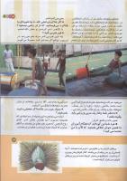 مجله کودک 157 صفحه 13