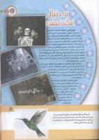 مجله کودک 157 صفحه 31