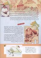 مجله کودک 157 صفحه 5