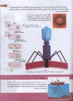 مجله کودک 158 صفحه 37