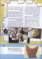 مجله کودک 160 صفحه 11