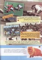 مجله کودک 160 صفحه 30