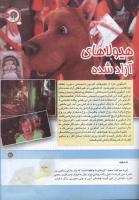 مجله کودک 160 صفحه 31