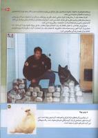 مجله کودک 160 صفحه 37