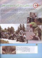 مجله کودک 160 صفحه 14