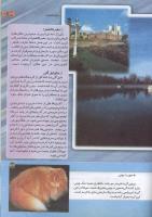 مجله کودک 160 صفحه 39