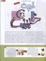 مجله کودک 161 صفحه 17