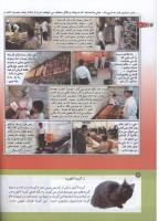 مجله کودک 161 صفحه 12