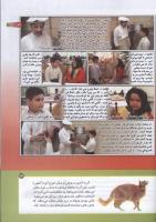 مجله کودک 161 صفحه 13